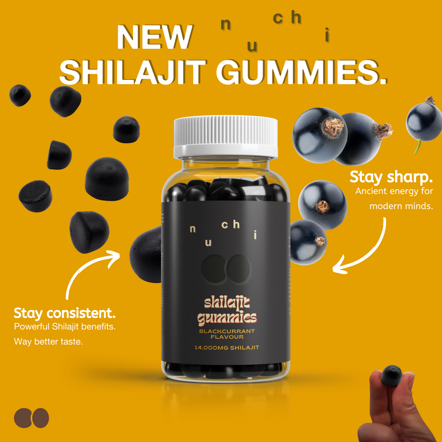 nuchi 14,000mg Shilajit Gummies - Vegan, High Dose, Blackcurrant Flavour